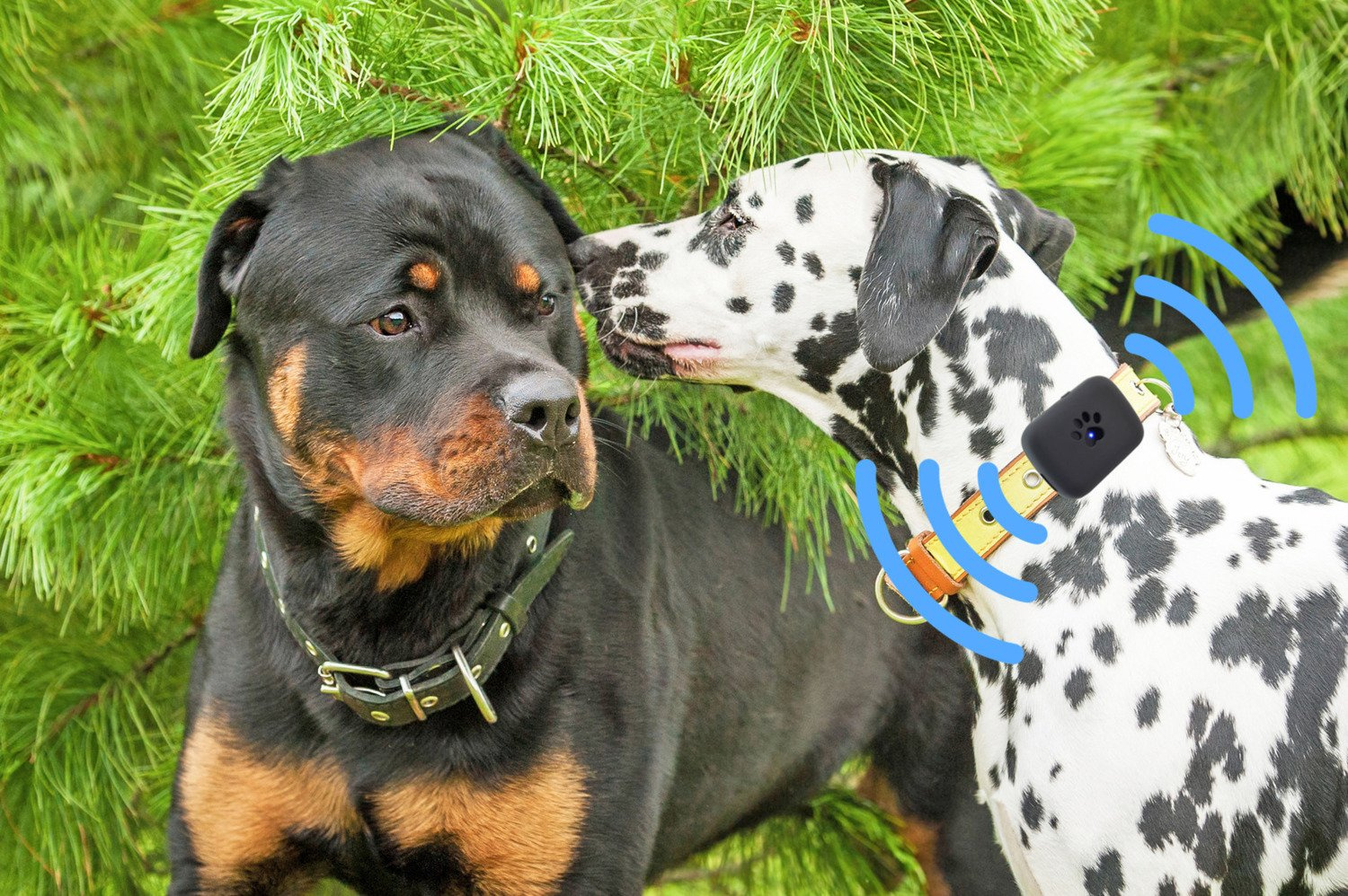 GPS tracker for animals dog cat or personal 1000mAh accumulator GPS