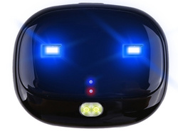 Lokalizator dla zwierząt pies kot